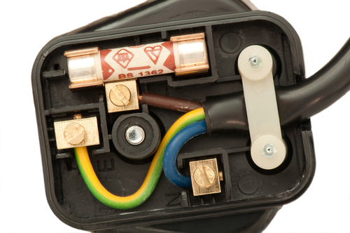 inside a plug